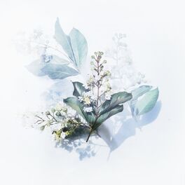 Album cover of Sleep Powder