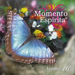 Album cover of Momento Espírita, Vol. 16