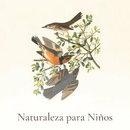 Album cover of Naturaleza para Niños: Música con Sonidos Naturales para Relajar y Entretener Niños