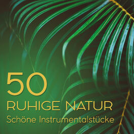 Album cover of 50 Ruhige Natur - Schöne Instrumentalstücke für Entspannung und Heilung Meereswellen für Massage & Spa Meditation