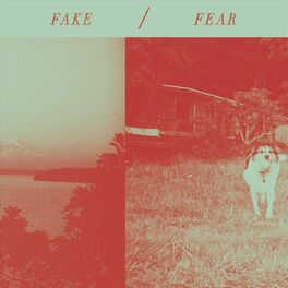 Album cover of Fake / Fear