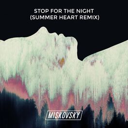 Album cover of Stop for The Night (Summer Heart Remix)