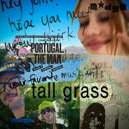 Album cover of TALL GRASS