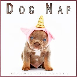 Album cover of Dog Nap: Relaxing Music for Happy Sleeping Dog