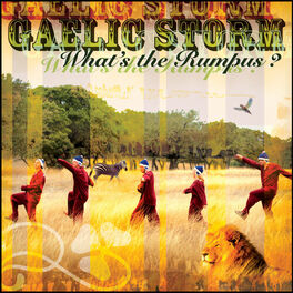 Album cover of What's the Rumpus?