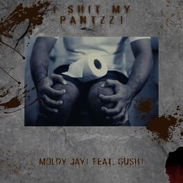 Album cover of I JUST SHIT MY PANTZZ! (feat. GUSH)