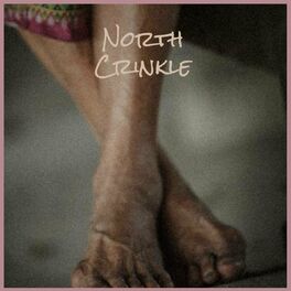 Album cover of North Crinkle