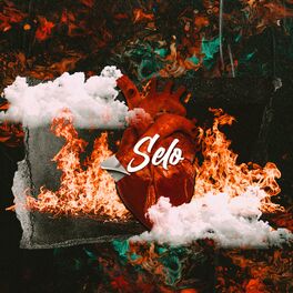 Album cover of Selo