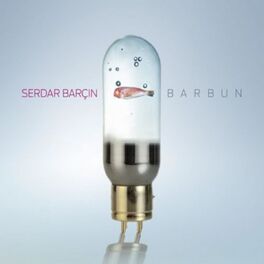 Album cover of Barbun