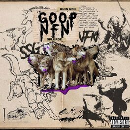 Album cover of Goop NFN