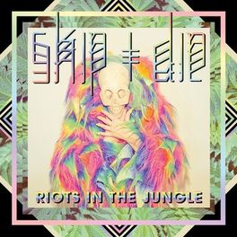 Album cover of Riots in the Jungle