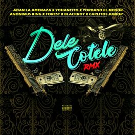 Album picture of Dele Cotele (Remix)