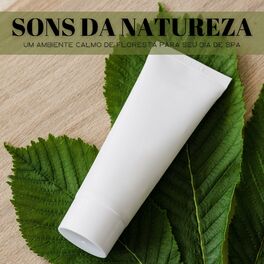 Album cover of Sons Da Natureza: Um Ambiente Calmo De Floresta Para Seu Dia De SPA