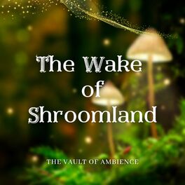 Album cover of The Wake of Shroomland (feat. Benoît Vanhoffelen)