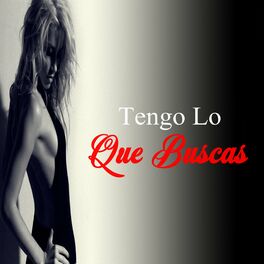 Album cover of Tengo Lo Que Buscas