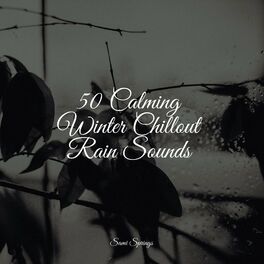 Album cover of 50 Calming Winter Chillout Rain Sounds