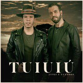 Album cover of Tuiuiú