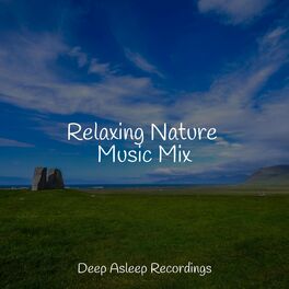 Album cover of Relaxing Nature Music Mix