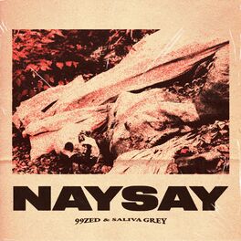 Album cover of NAYSAY