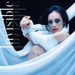 Album cover of Invisible