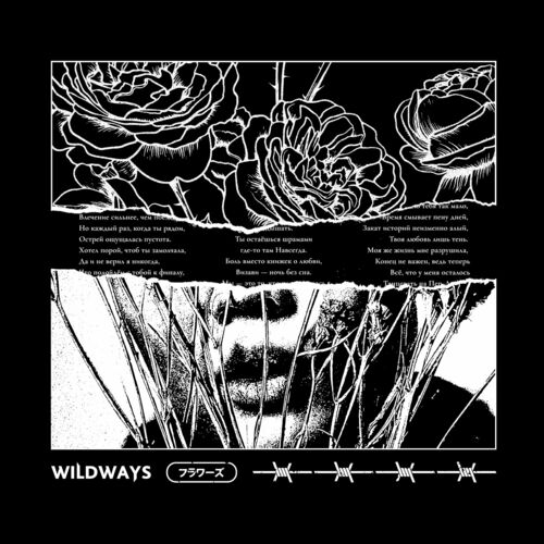 Wildways wildwaysband  X