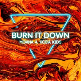 Album cover of Burn It Down (Run This Town)