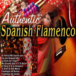 Album cover of Autentic Spanish Flamenco