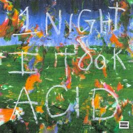 Album cover of 1 Night I Took Acid