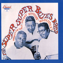 Album cover of The Super, Super Blues Band