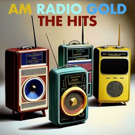 Album cover of AM Radio Gold: The Hits
