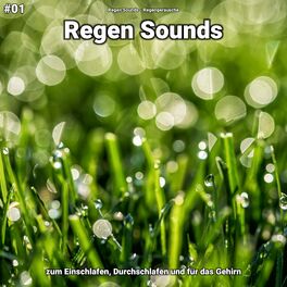 Album cover of #01 Regen Sounds zum Einschlafen, Durchschlafen und für das Gehirn