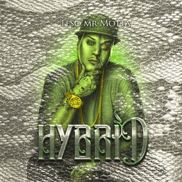 Album cover of Hybrid