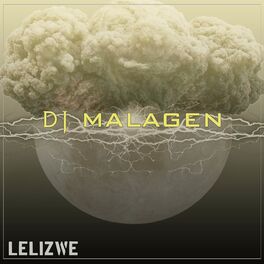 Album cover of Lelizwe