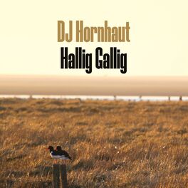 Album cover of Hallig Gallig