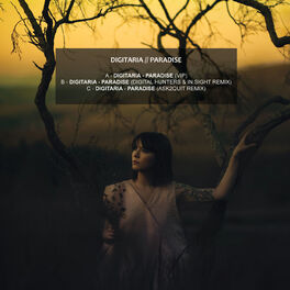 Album cover of Paradise Remixes