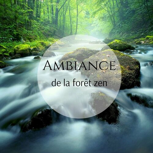 Zen Méditation Ambiance - Ambiance de la forêt zen: Musique relaxante avec  des sons de la nature, L'eau, Oiseaux chanteurs, Vent : chansons et paroles