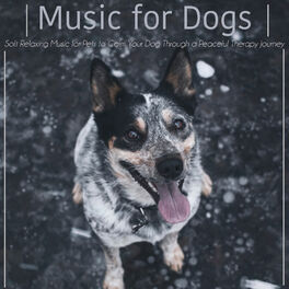 Album cover of Music for Dogs : Soft Relaxing Music for Pets to Calm Your Dog Through a Peaceful Therapy Journey