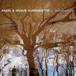 Album cover of In Transmediale