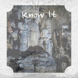 Album cover of Dont You Just Know It