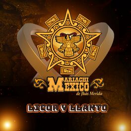 Album cover of Licor y Llanto (feat. Mariachi Mexico)