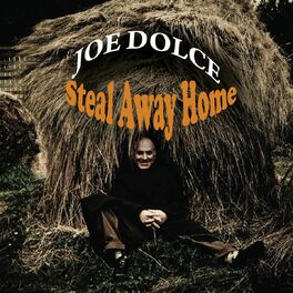 Album cover of Steal Away Home