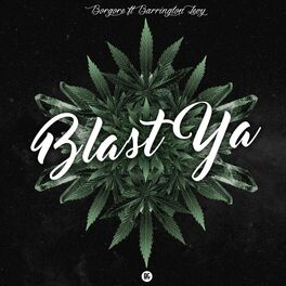 Album cover of Blast Ya (feat. Barrington Levy)