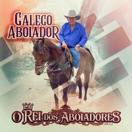 Album cover of O Rei dos Aboiadores 2022