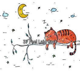 Album cover of 37 Feel Laid Back