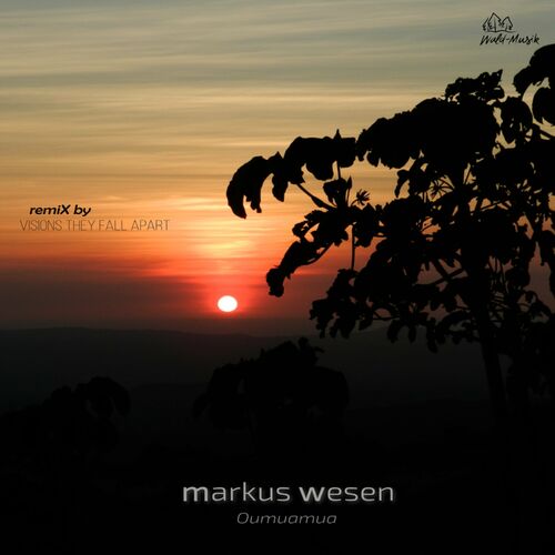 Markus Wesen - Oumuamua (2023) MP3