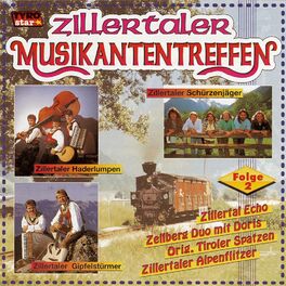 Album cover of Zillertaler Musikantentreffen - Folge 2