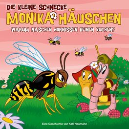Album cover of 43: Warum naschen Hornissen keinen Kuchen?