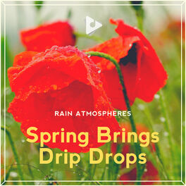 Album cover of Spring Brings Drip Drops