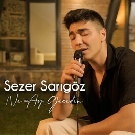Album cover of Ne Ay Geceden (Akustik)