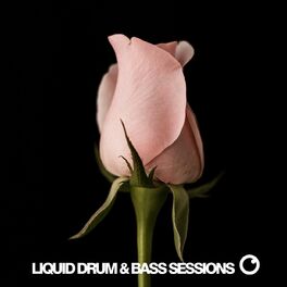 Album cover of Liquid Drum & Bass Sessions Vol 12